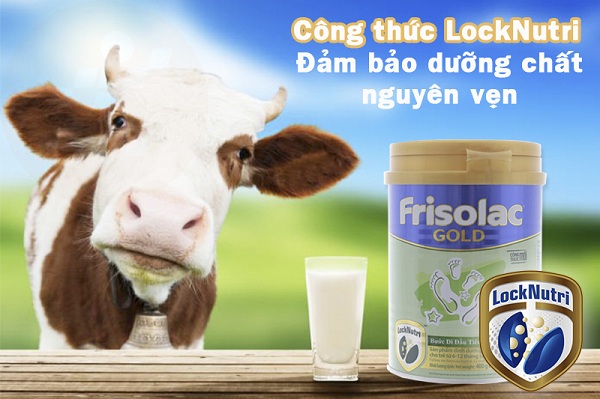 sữa friso gold 2